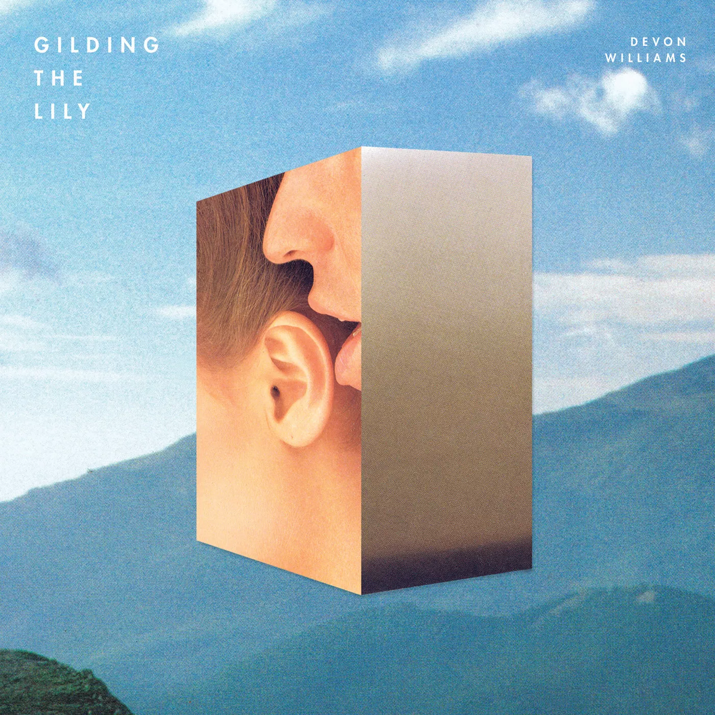 Gilding The Lily - Devon Williams