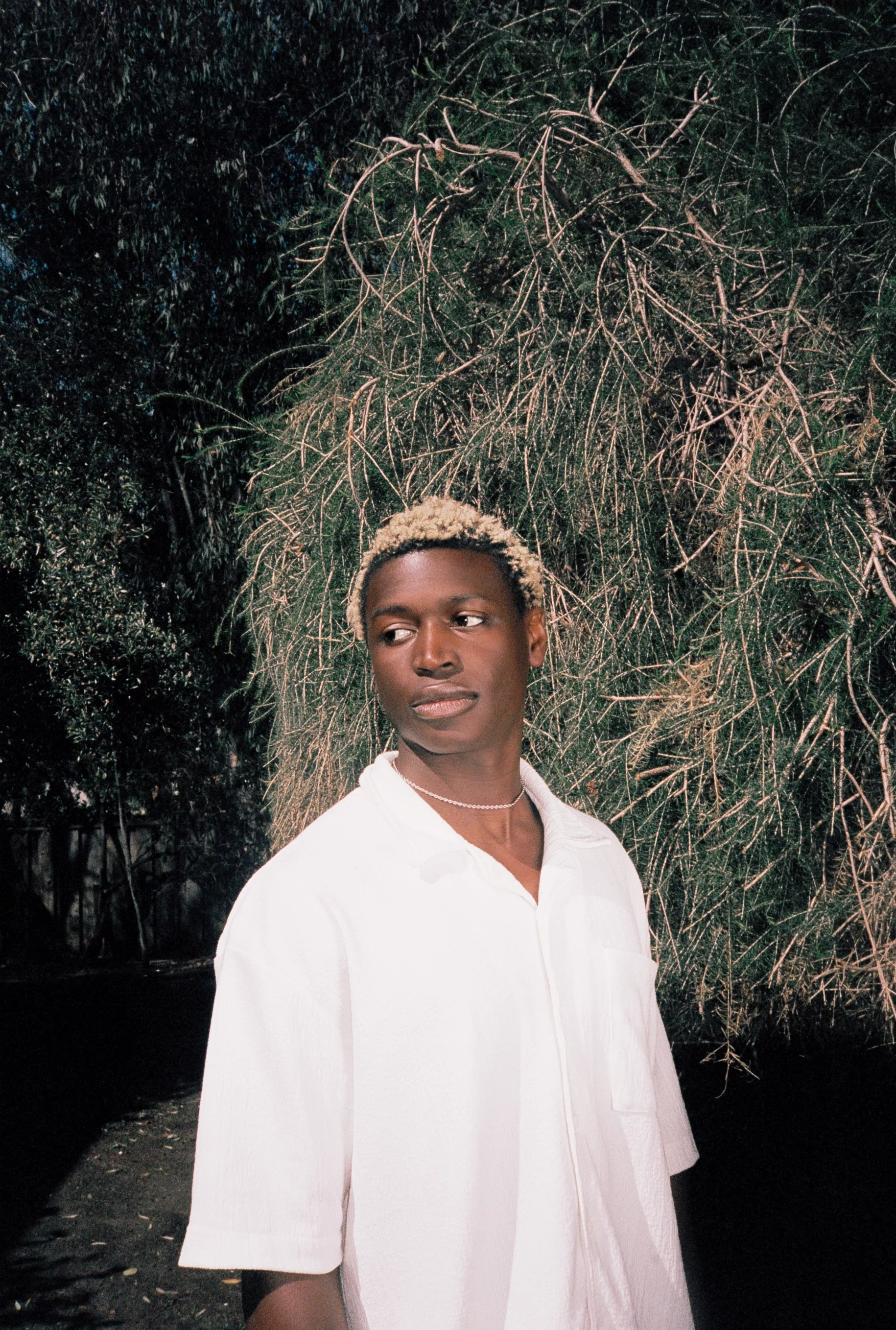 Mon Rovîa är aktuell med ny musik.