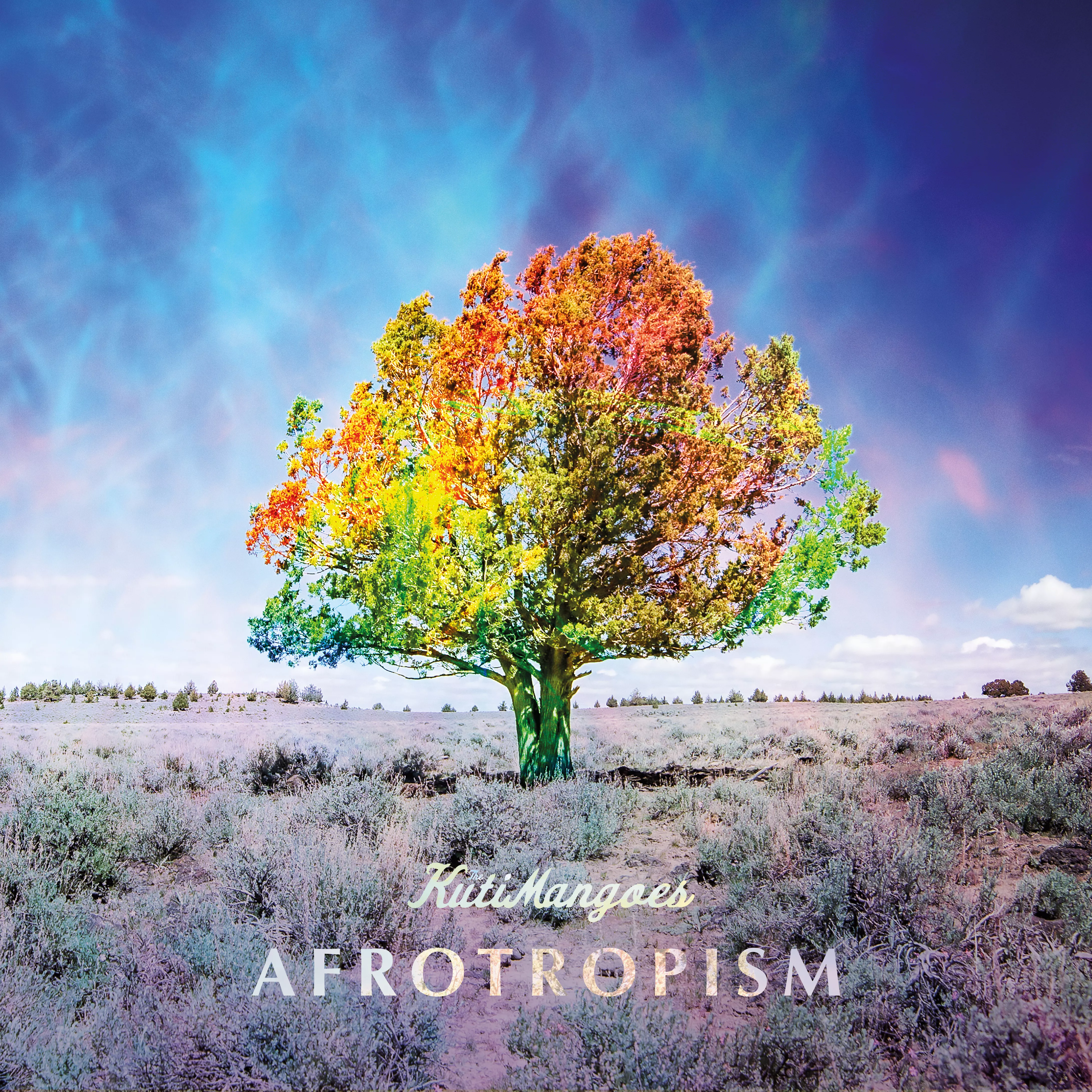 Afrotropism - KutiMangoes