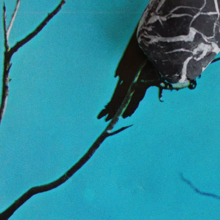 Stateless - Tangents