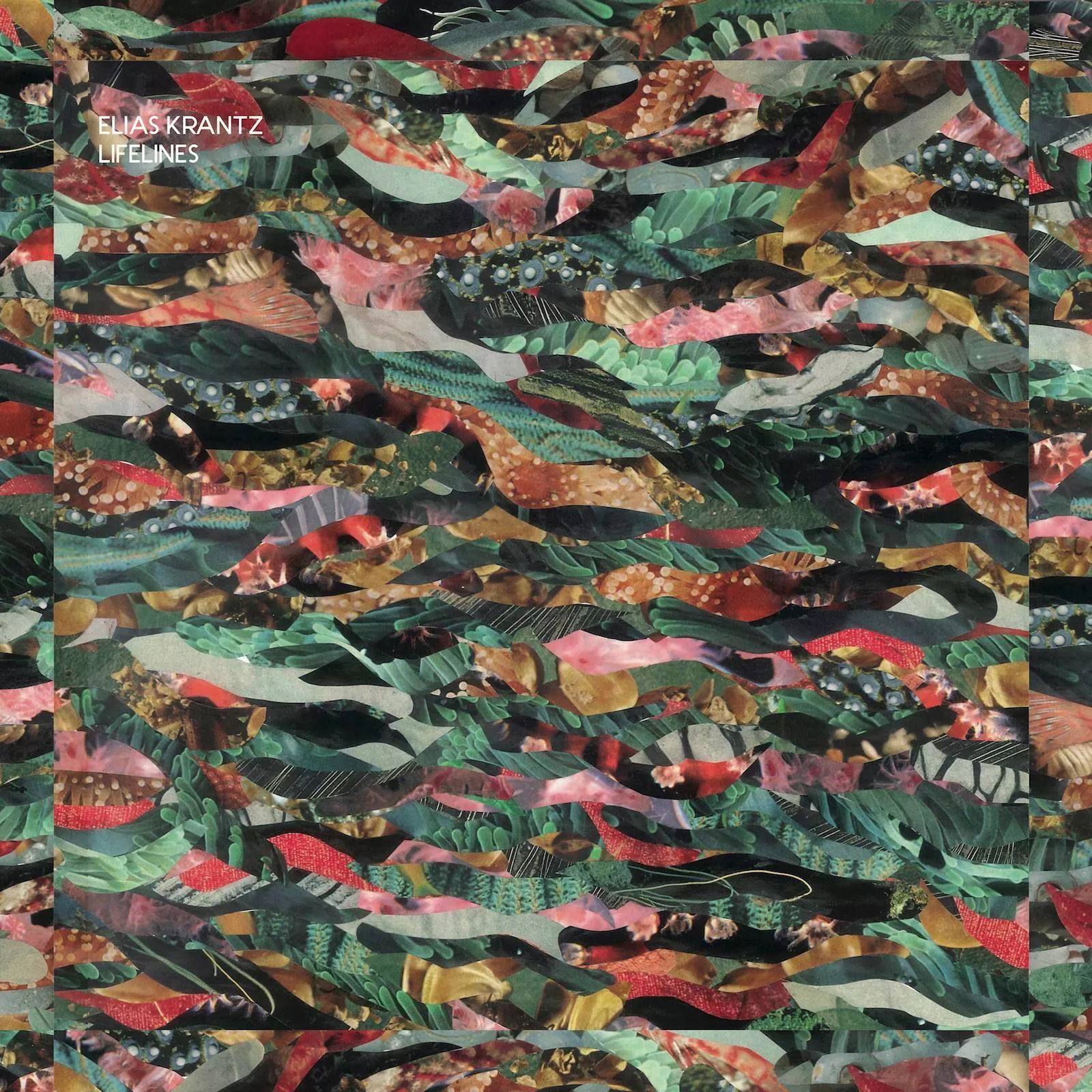 Lifelines - Elias Krantz