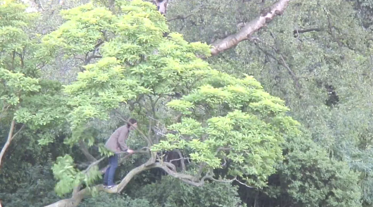 Videopremiere: The New Spring hylder afdød kunstner