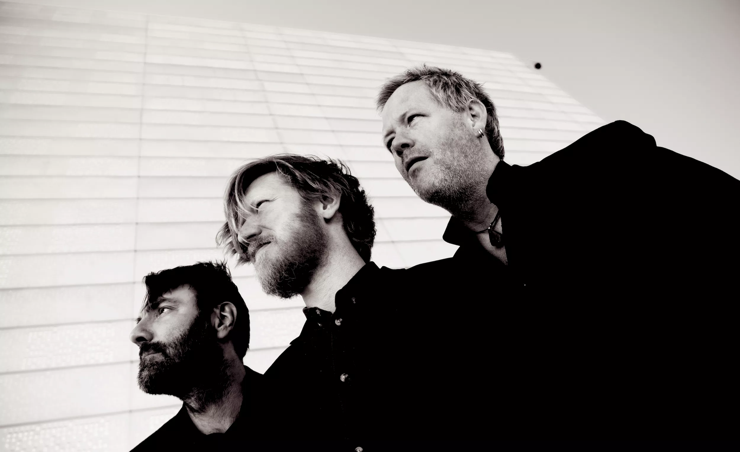 Hjemmeavlet trio i verdensklasse er Kongsberg-klar