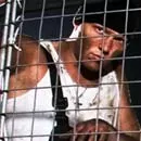 Niarns debutalbum klar