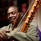 Toumani Diabate indtager Danmark