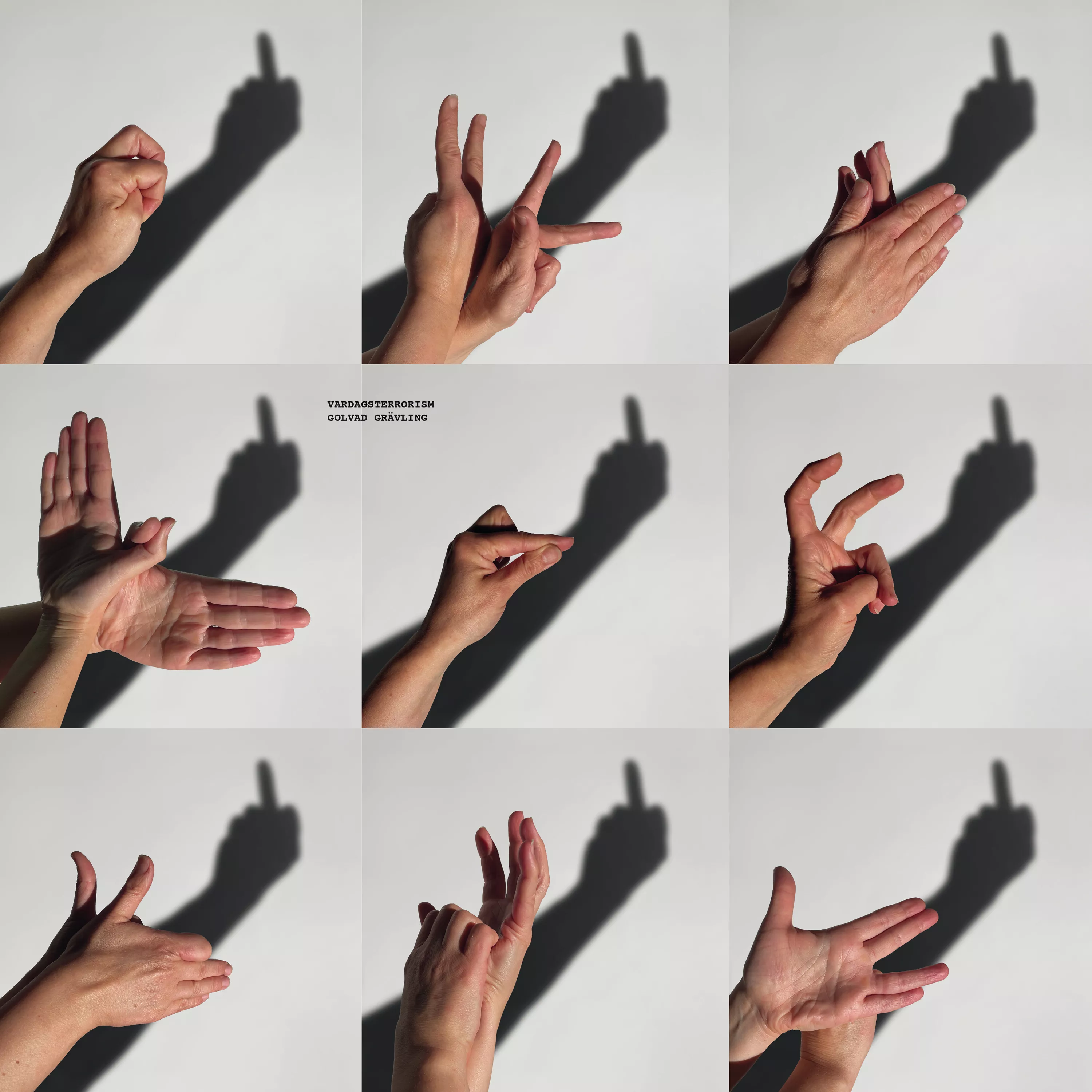 Vardagsterrorism - Golvad Grävling