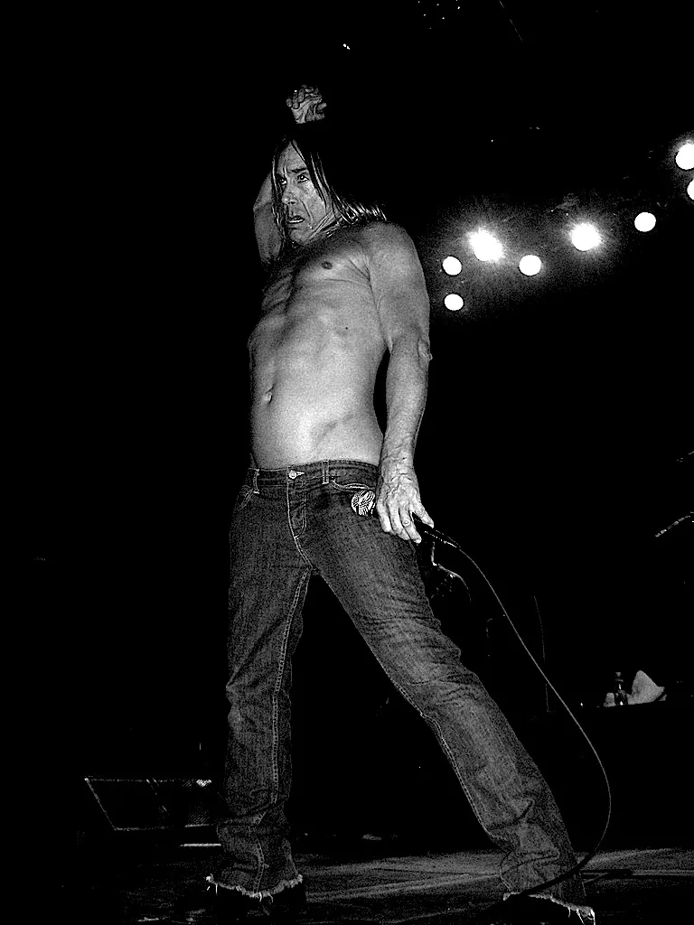 Nyt på vej fra Iggy Pop
