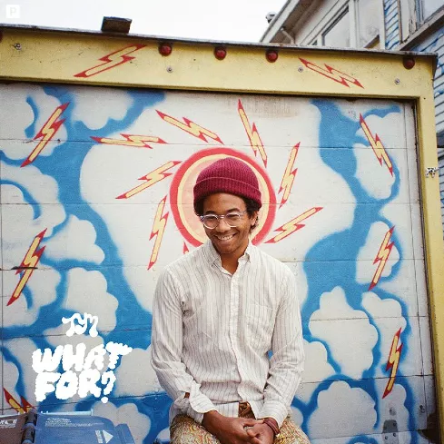 What For? - Toro Y Moi