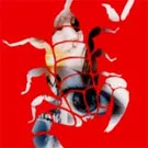 Italiensk delikatesse