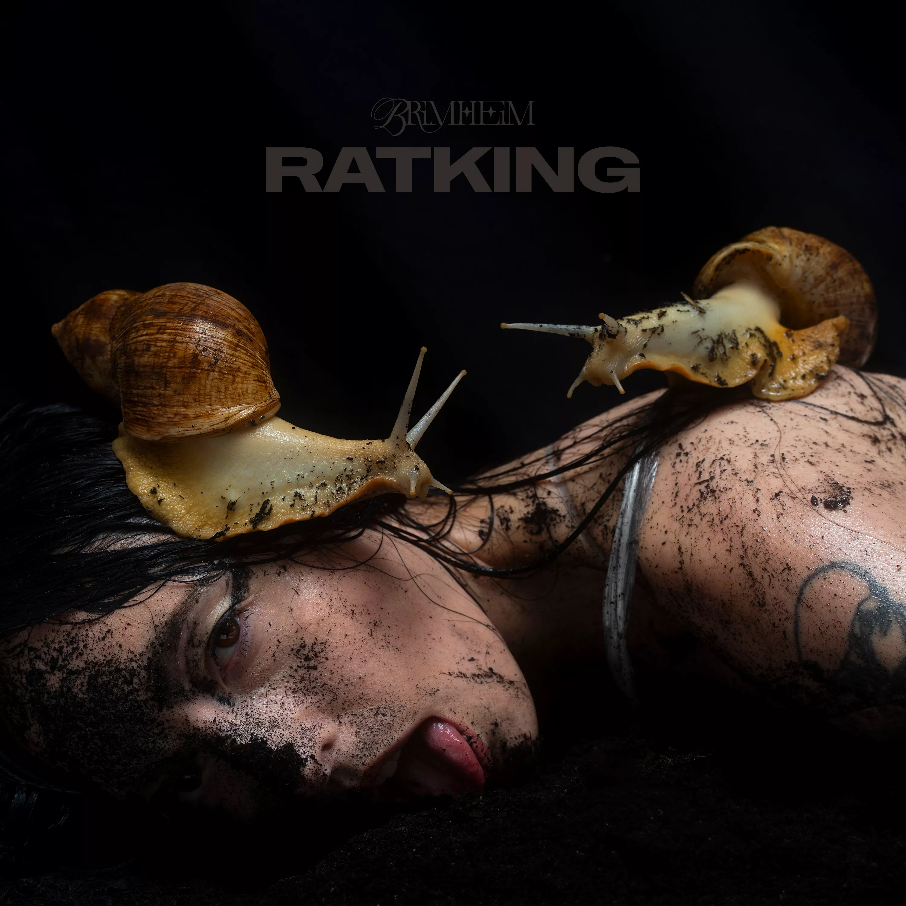 Ratking - Brimheim