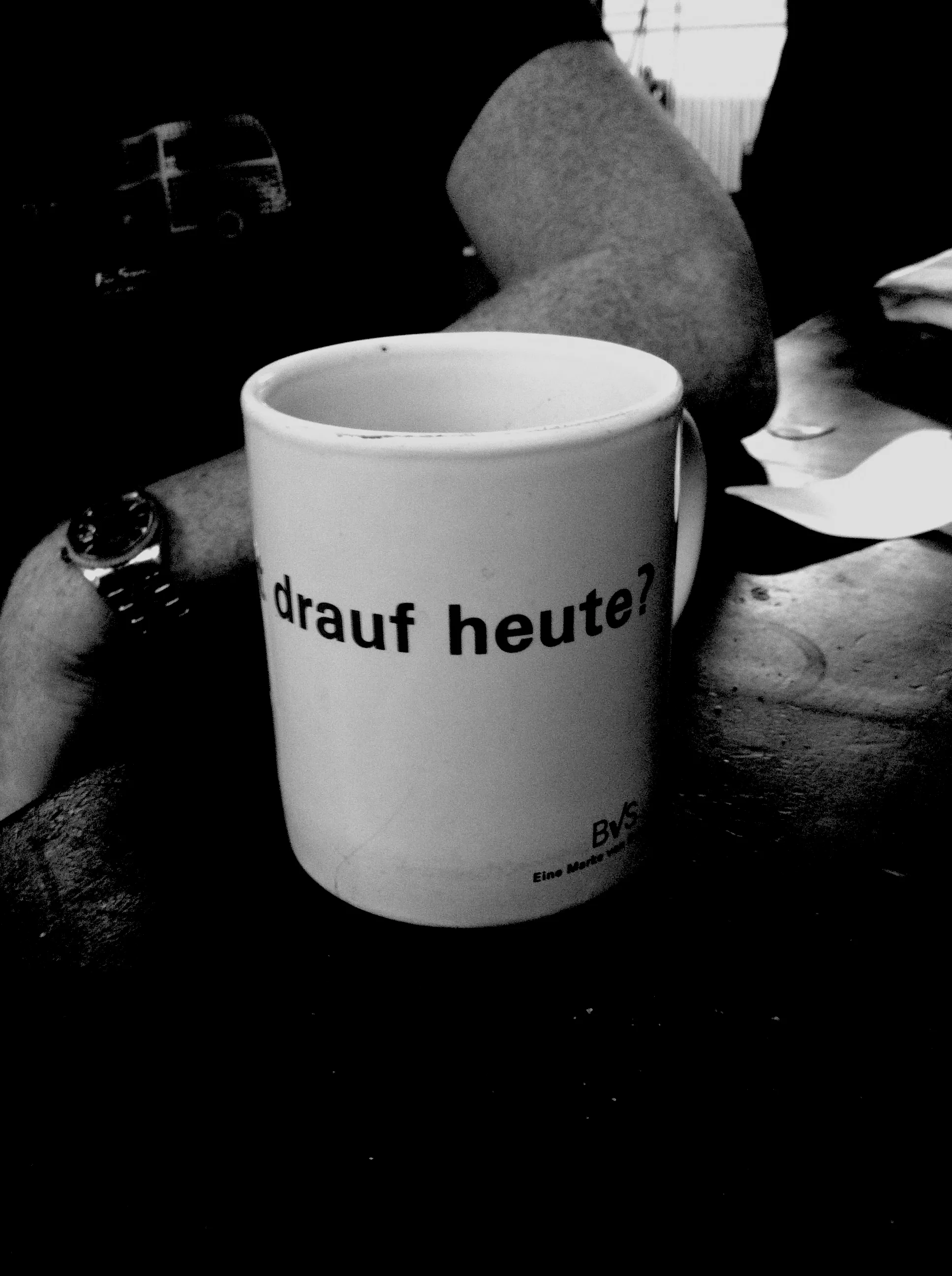 Labradors turnédagbog fra Tyskland del 1