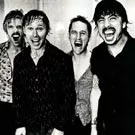 Foo Fighters klargør dvd