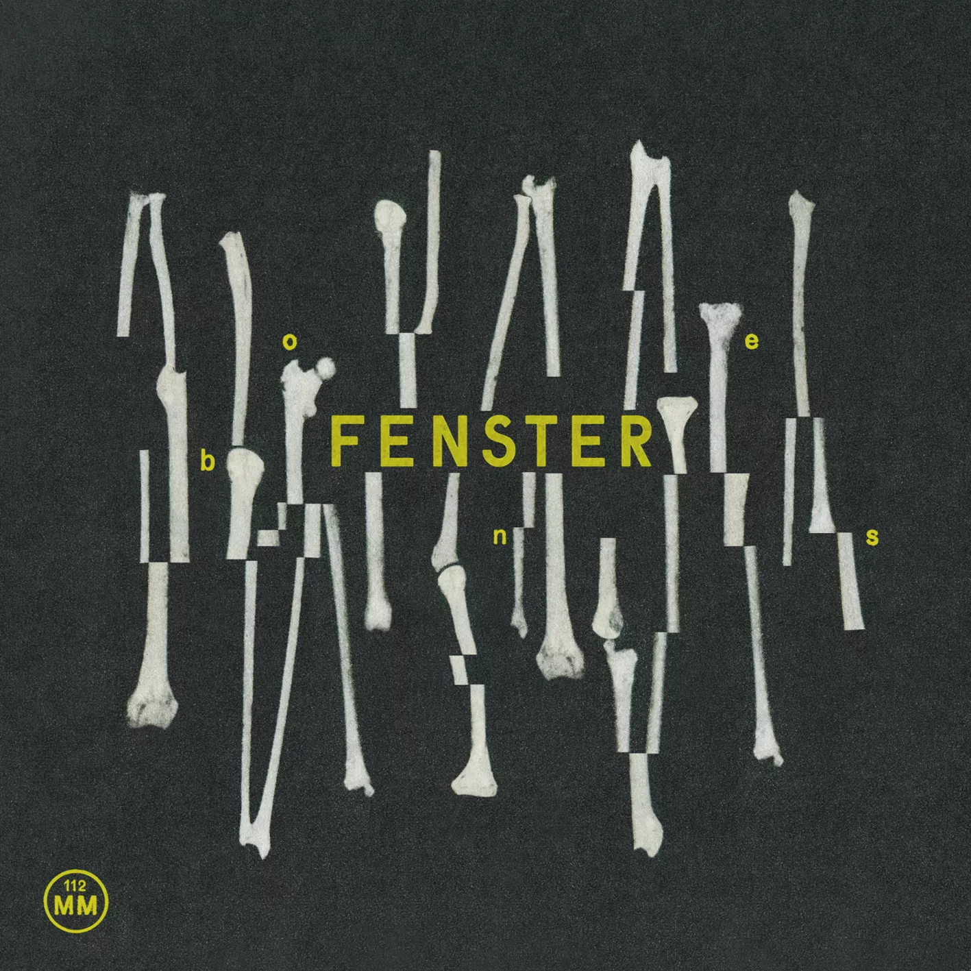 Bones - Fenster