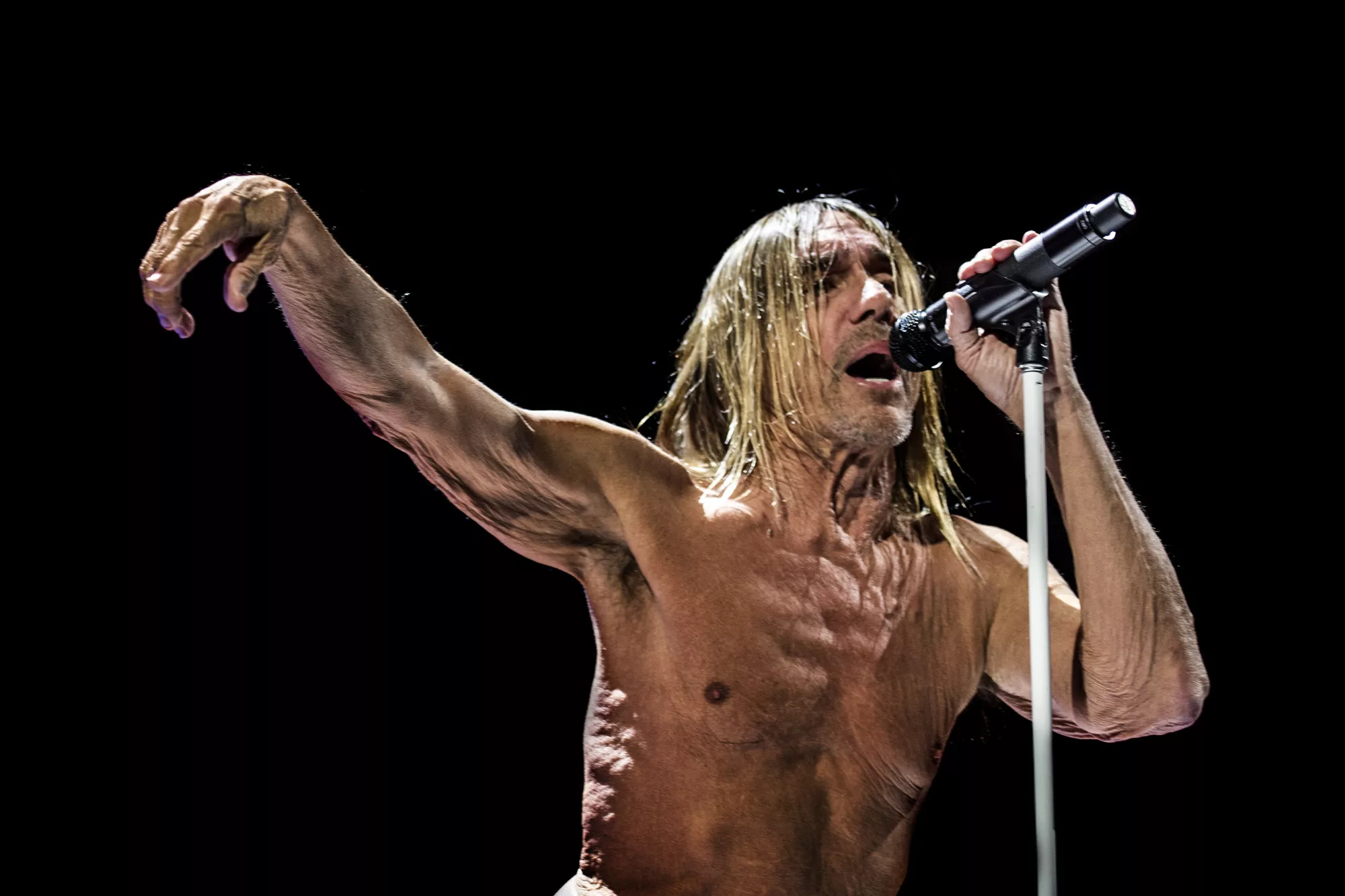Iggy Pop 70 år – här är hans 70 bästa låtar