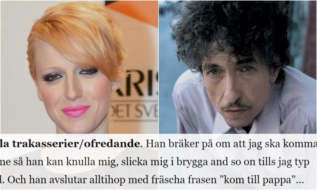 Blev sexuellt trakasserad efter sin satiriska Bob Dylan-krönika
