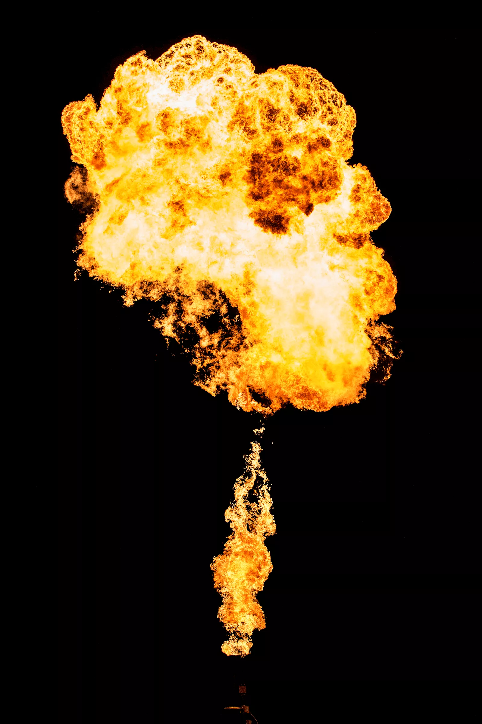 Upplopp på festival – 83 personer skadade