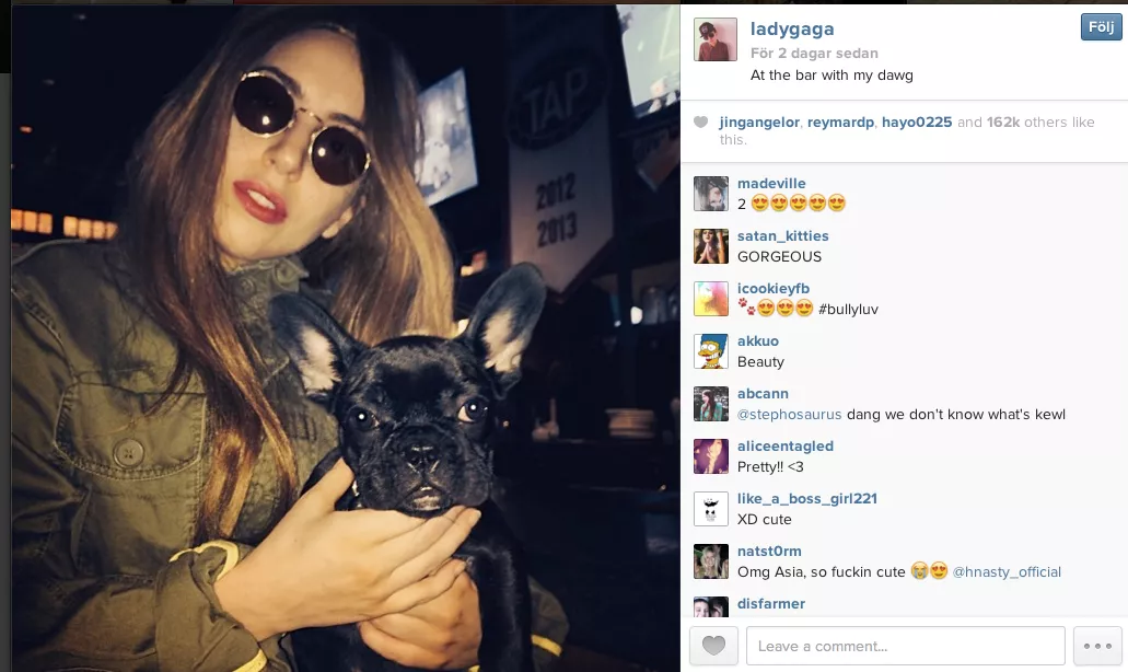 Har Lady Gaga stulit svenske Simons jacka?