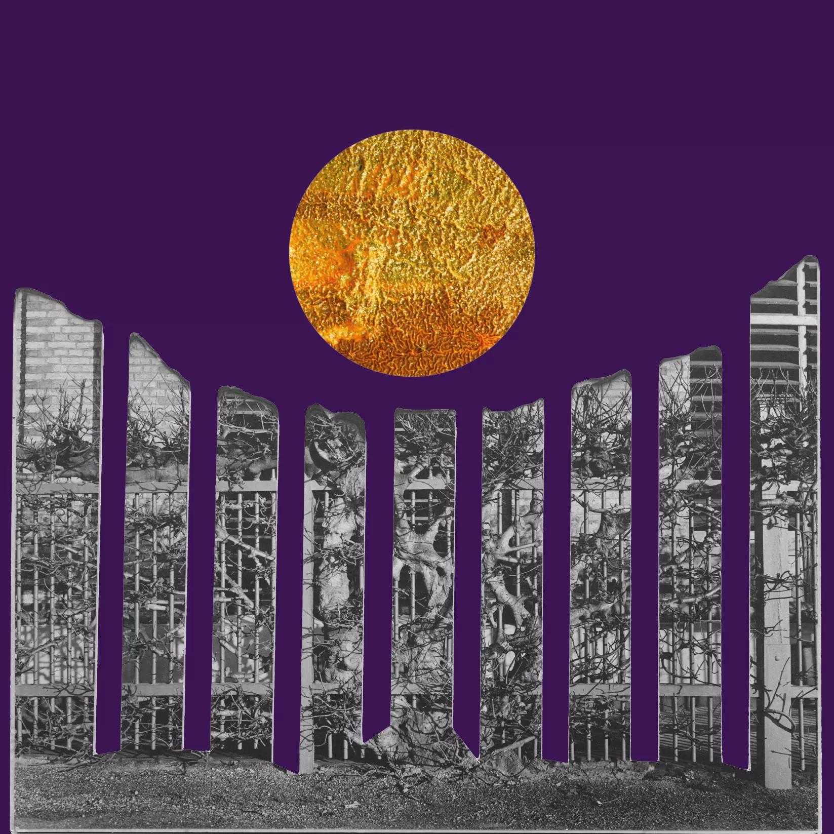 Boligindretning - Morten Skou Andersen og de mennesker han normalt sammenligner sig med