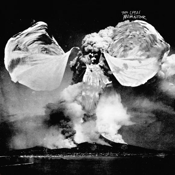 Animator - The Luyas