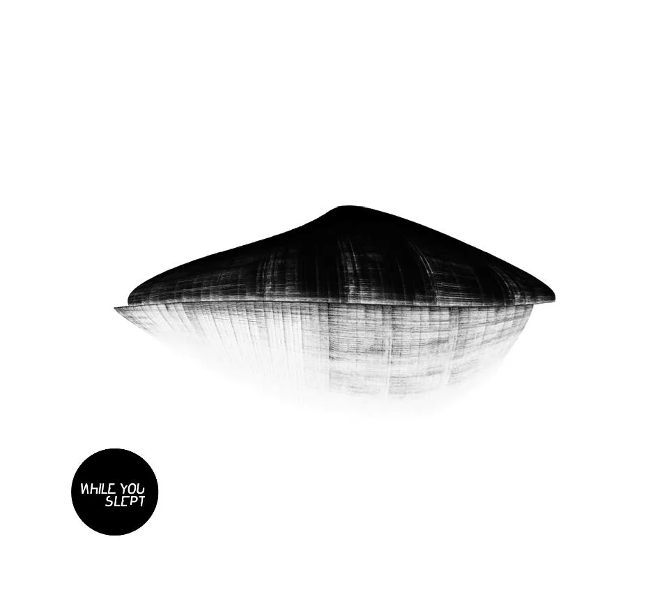 Push/Pull - While You Slept