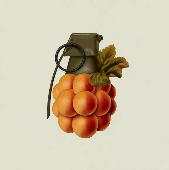 Logokrock mellan två svenska band