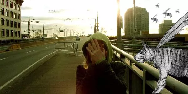 Said The Shark tager på turné