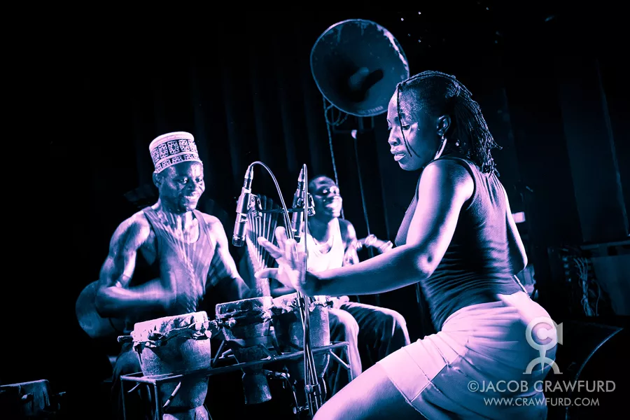 Gagnef avslöjar sommarens bokningar