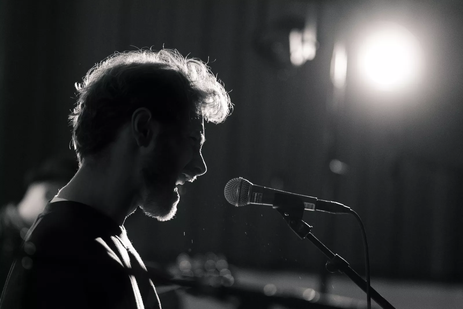 Spot offentliggør nye kunstnere