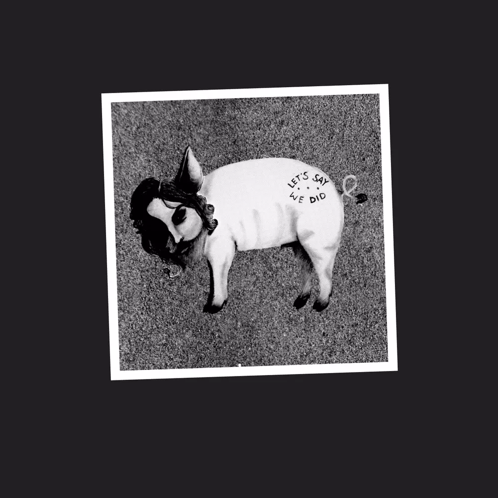 Let's Say We Did - Let's Say We Did