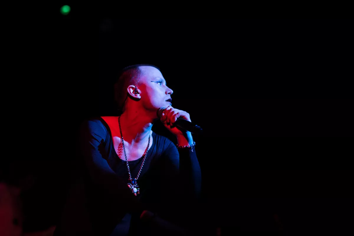 Bisse folder sig ud i ny kunstform