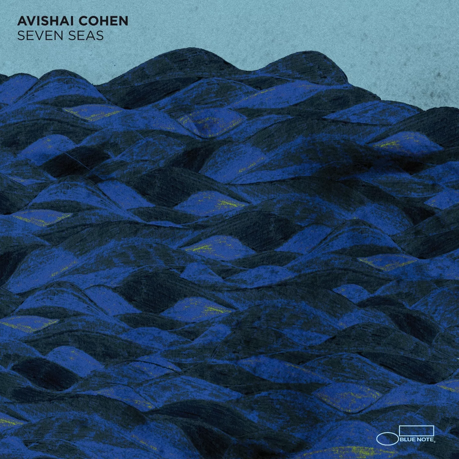 Seven Seas - Avishai Cohen