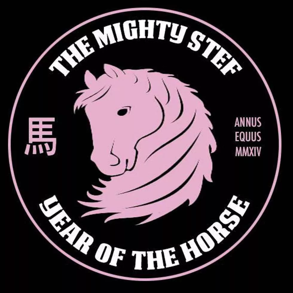 Year Of The Horse - The Mighty Stef