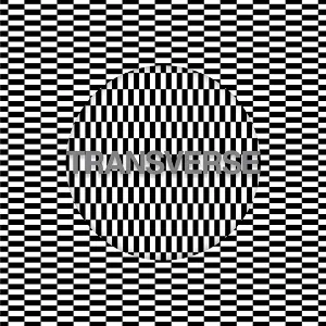 Transverse - Carter Tutti Void