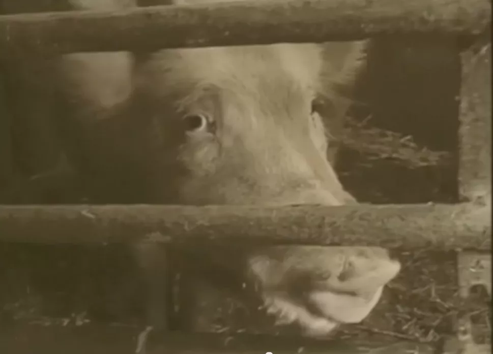 VIDEOPREMIÄR: Club 8 − Kill Kill Kill