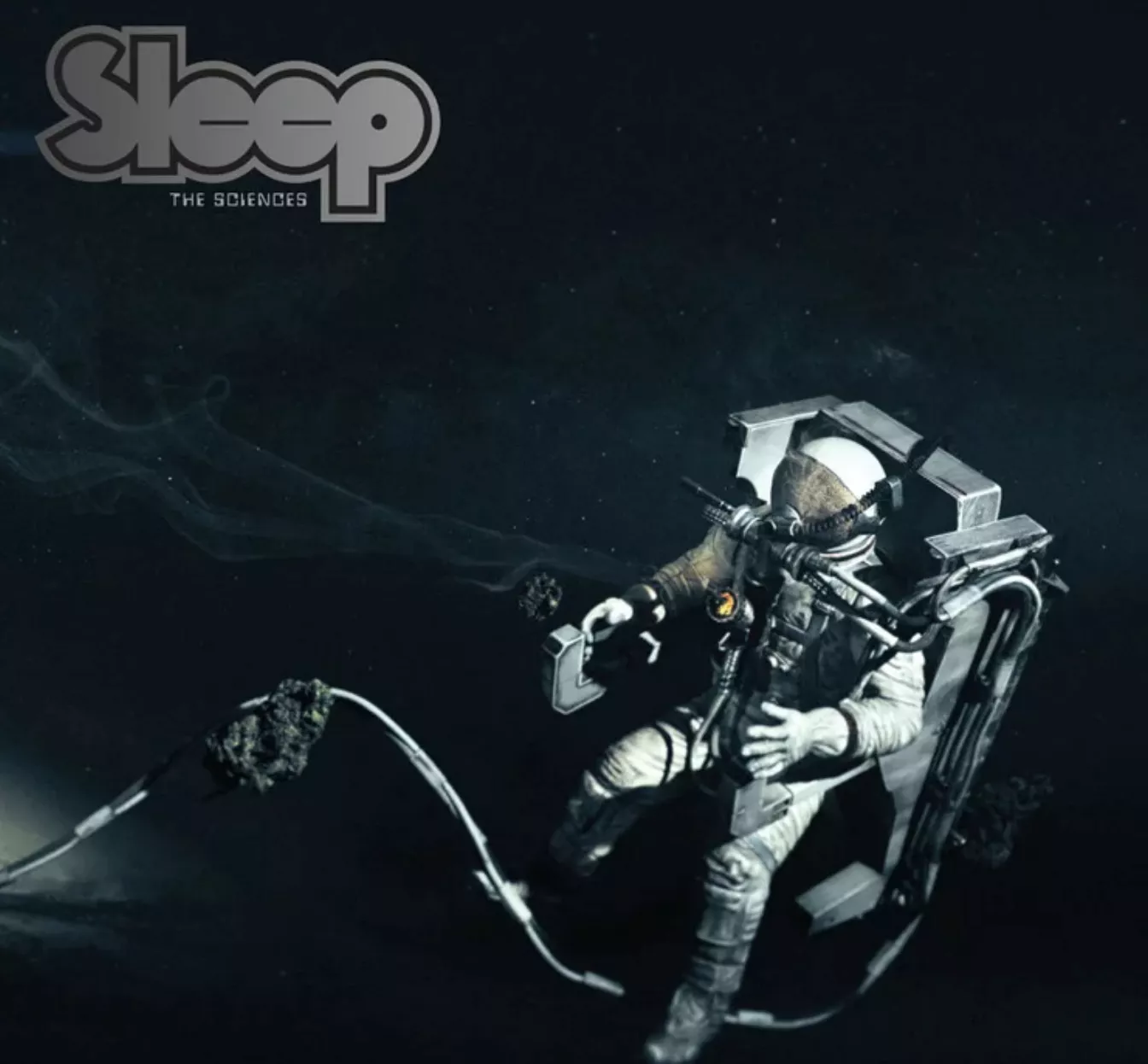 The Sciences - Sleep