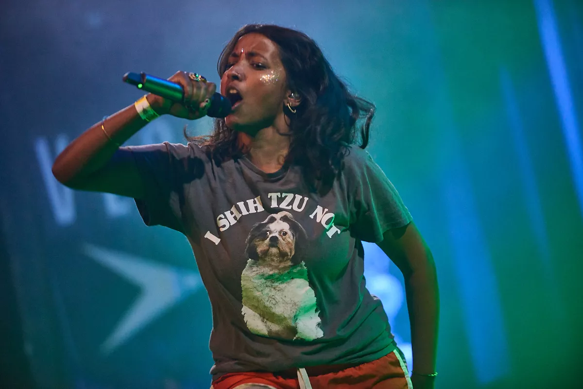 Seksstjernede Ravi Kuma giver gratis koncert under åben himmel lørdag