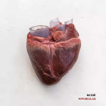 Homunculus - Bisse