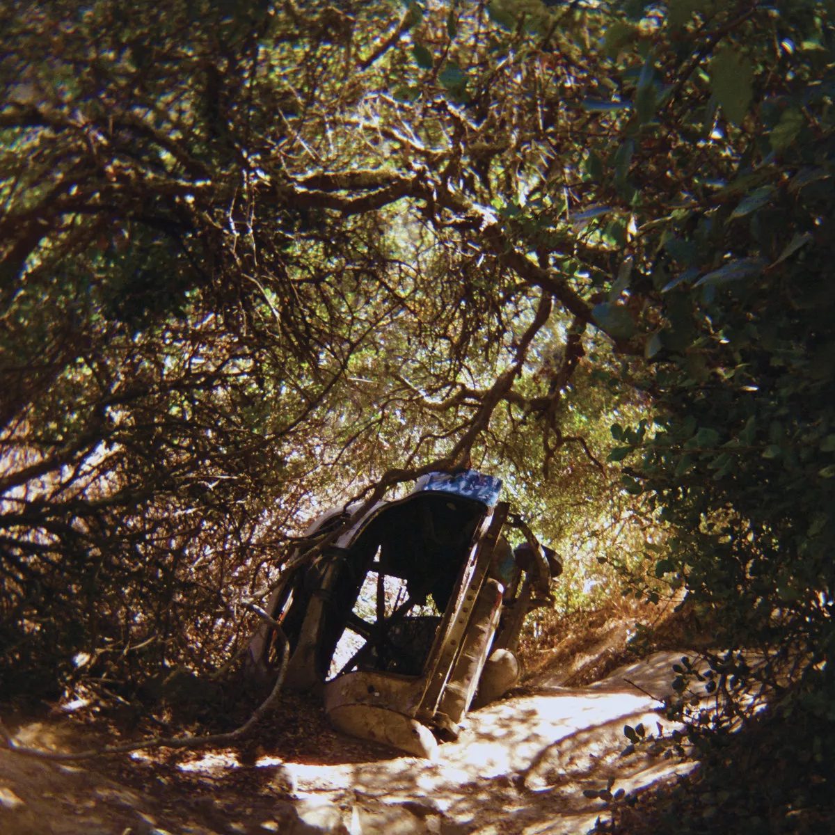 Possession - Ty Segall