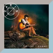 Fjärilar I Magen - Darin