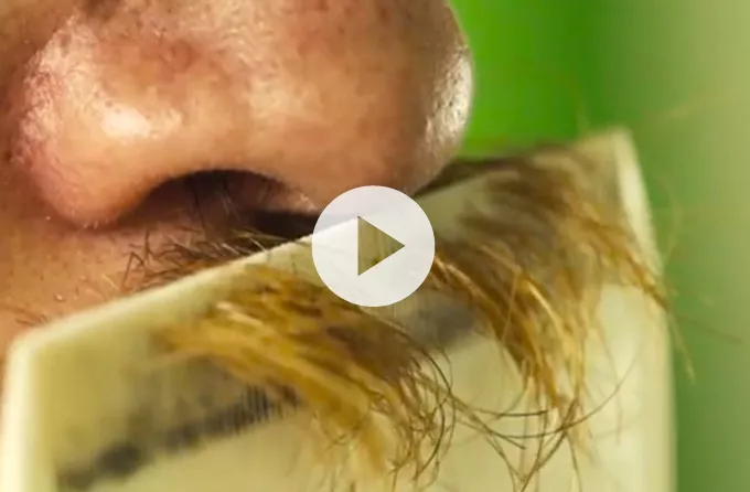 Se ny video fra The Blue Van – men tyg af munden først