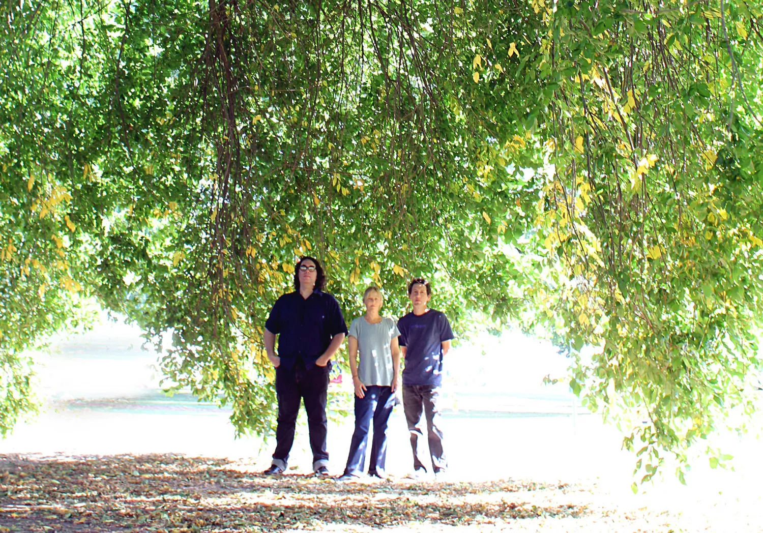 Yo La Tengo til Danmark