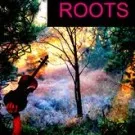 Musikalsk kalejdoskop i Pumpehuset