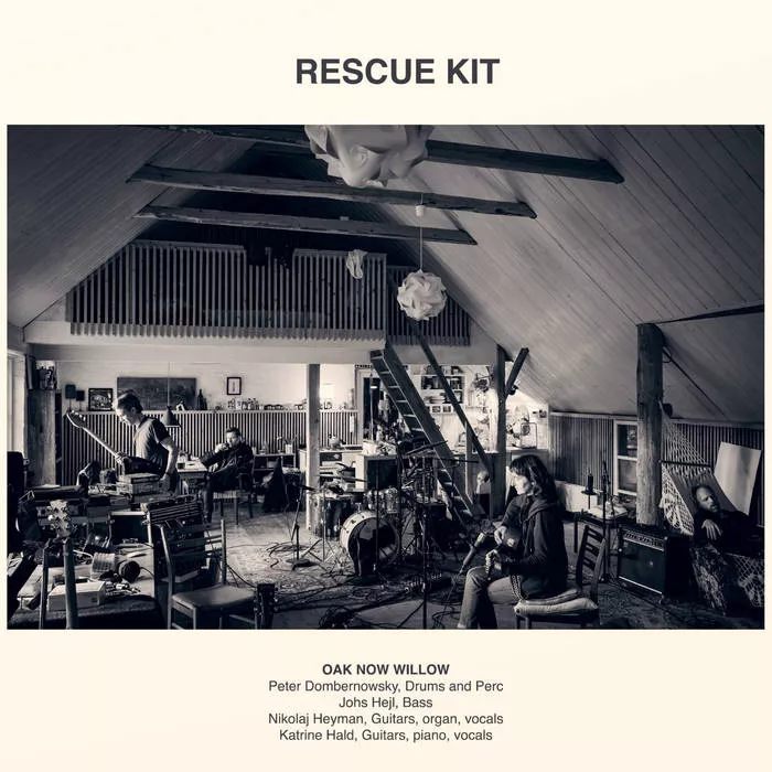 Rescue Kit - Oak Now Willow