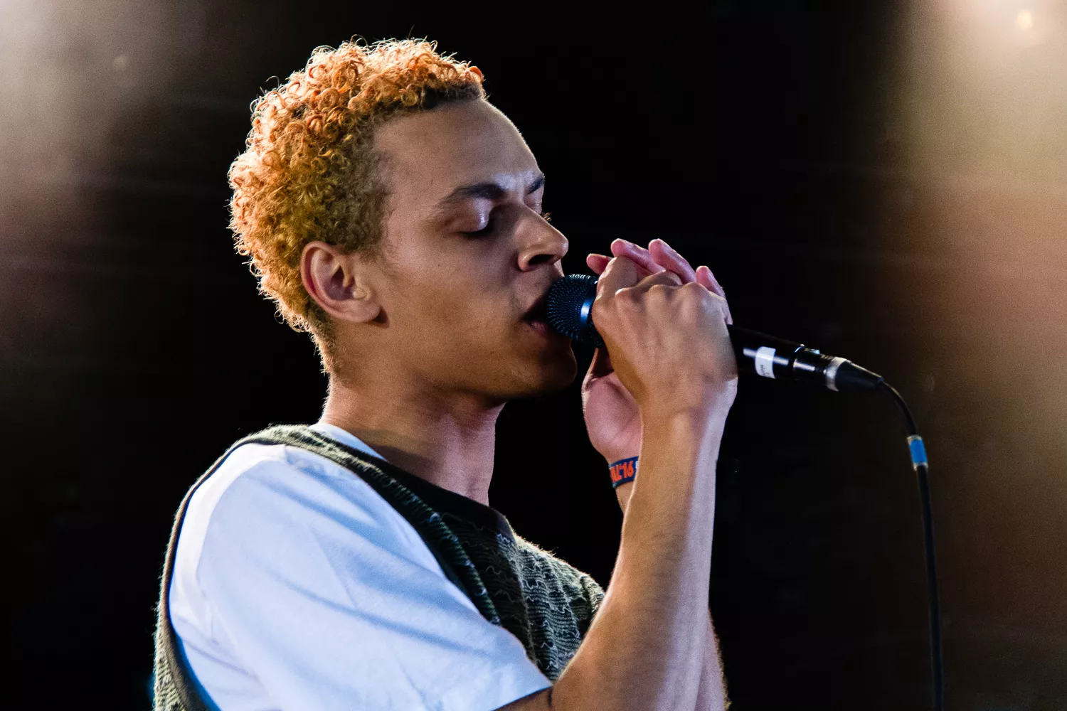 Roskilde Festival, Avalon - Liss