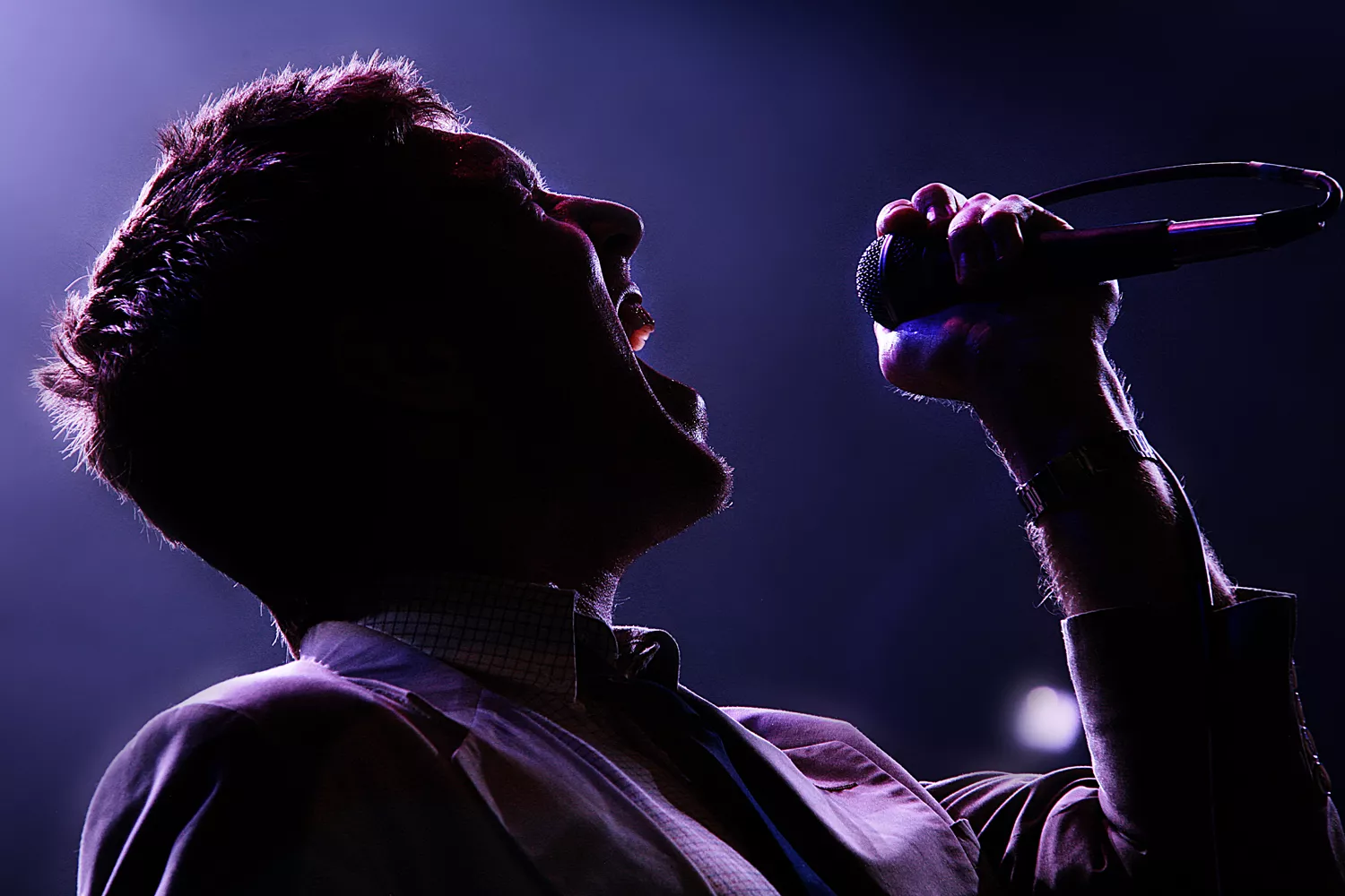 The Walkmen : Roskilde Festival, Odeon