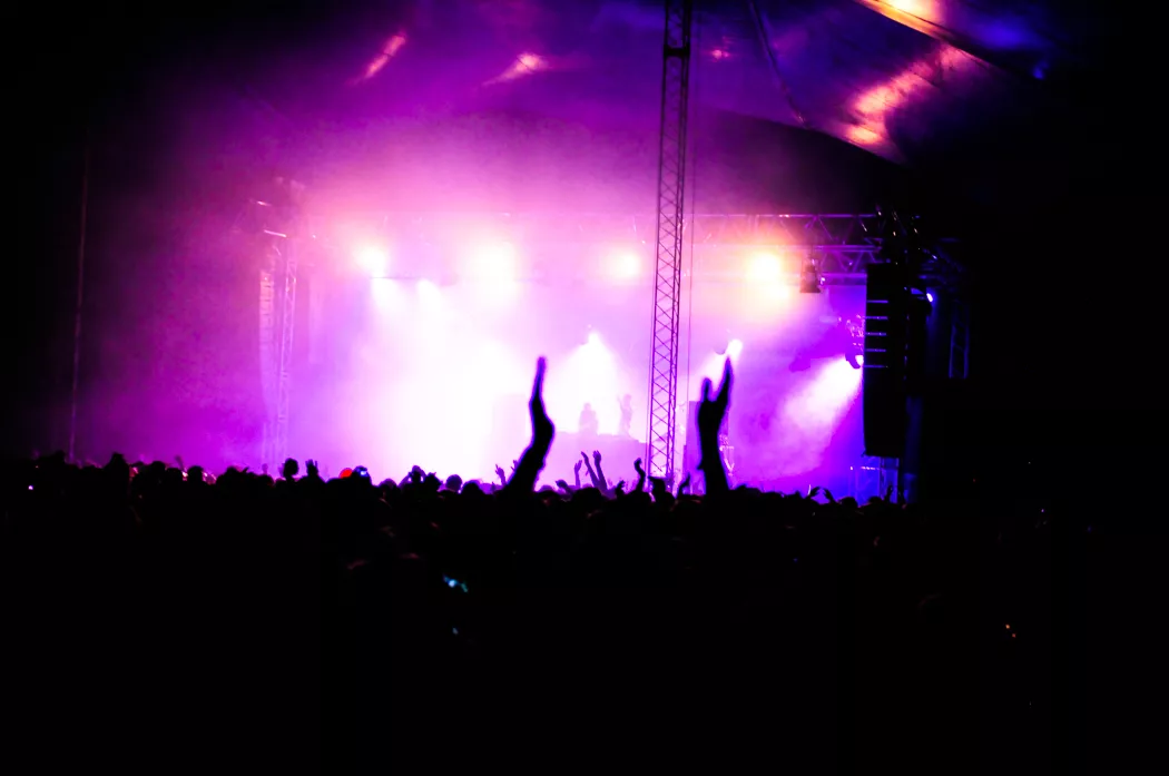 Fyra nya till Bråvalla