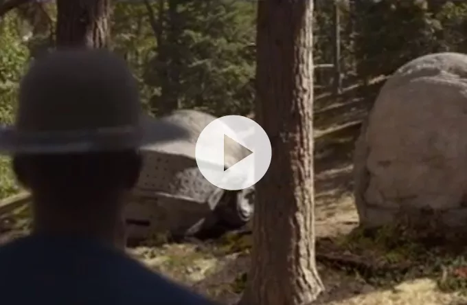 Pharrell og Daft Punk er helt i skoven i ny video