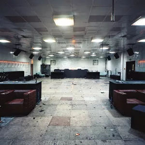 Moth Boys - Spector