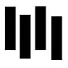 Signeret Black Flag-guitar på auktion