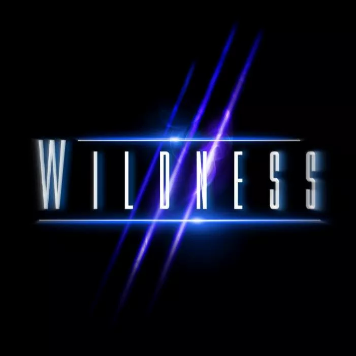 s/t - Wildness